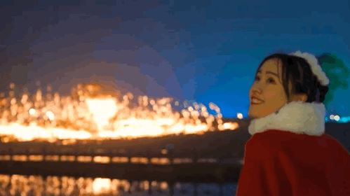 9.gif